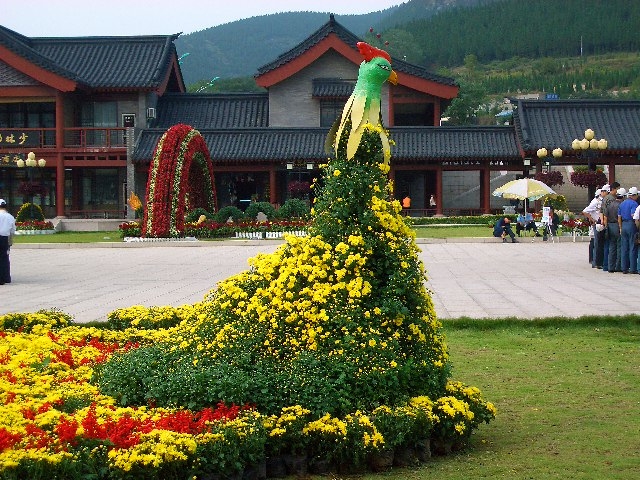 zyqclub.lv